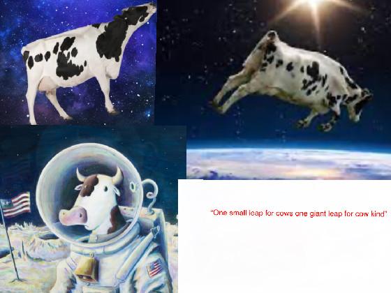 l like space cows