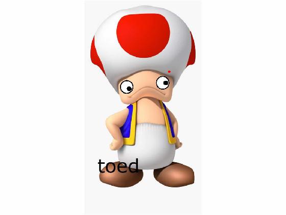 toadet fuori di testa