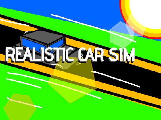 Realistic car simulation
