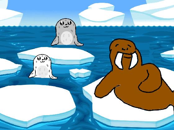 Seals and Walrus 1 1