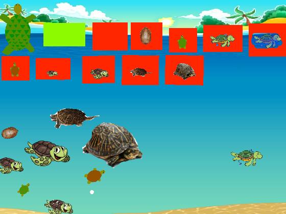 Turtle Clicker!  1