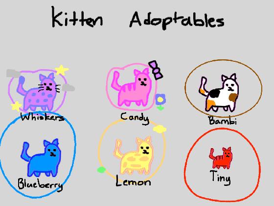 Kitten adoptables! (adopted blueberry)