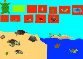 Turtle Clicker! 