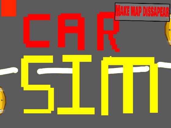 car sim