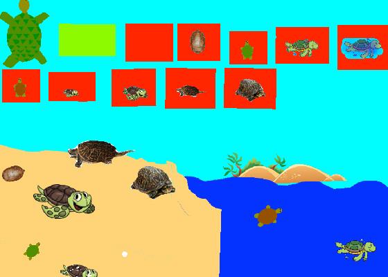 Turtle Clicker!  2