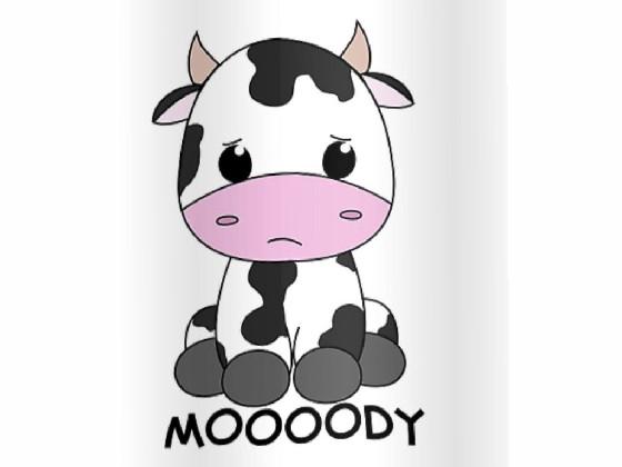 moody cow song