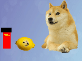 Doge Eats a Lemon