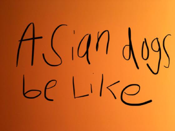 asian dog meme