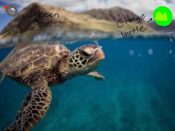 Save the turtles! 1