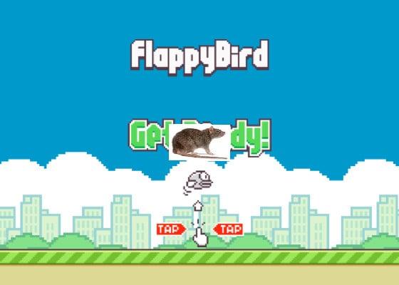 Flappy Bird 4