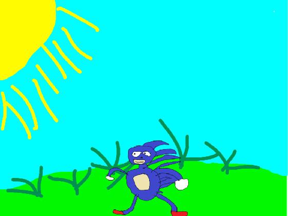 Sanic running