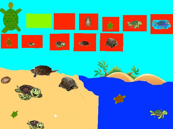 Turtle Clicker!  1