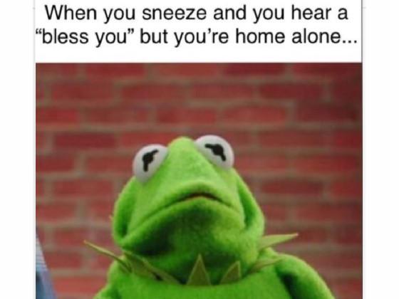 The final kermit meme