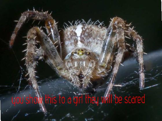 spooky, scary spider