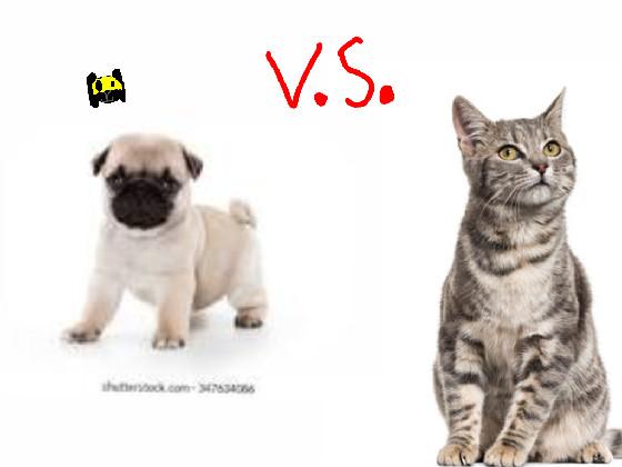 dogs vs. cats