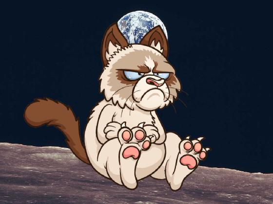 grumpy cat on the moon