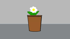 Breaking Flower Pot