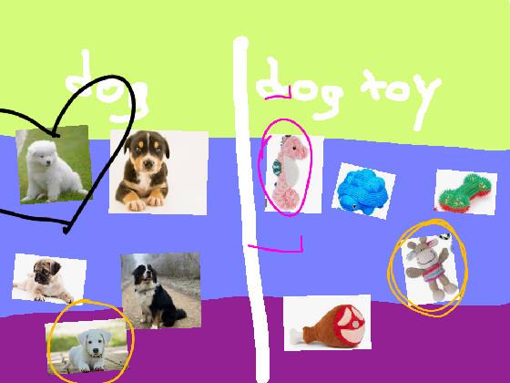 choose your dog + dog toy! 1