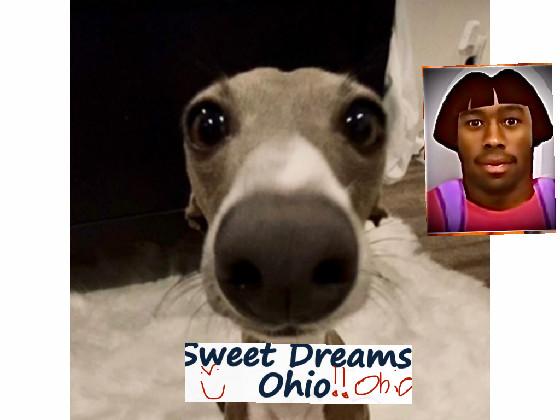 sweet dreams ohio pls like