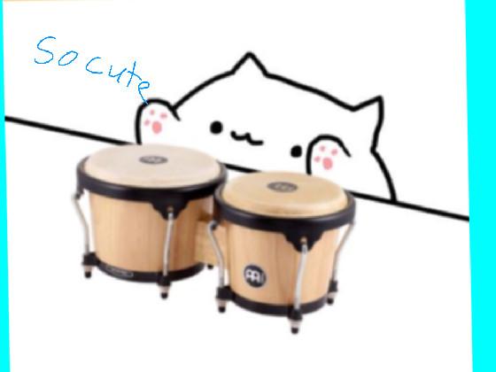 so cute musical cats