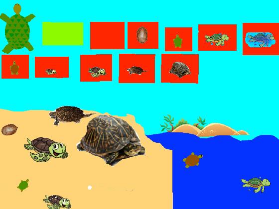 Turtle Clicker!  1