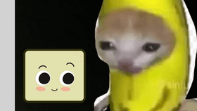 Banana cat and talking tofu