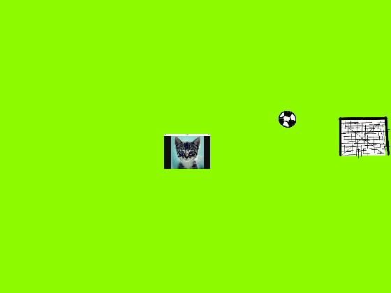 cat soccer 1