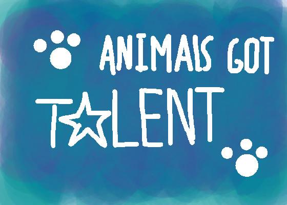 🐱Animal’s Got Talent🐱