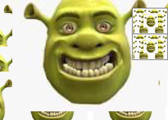 Shaking Shrek 1 1