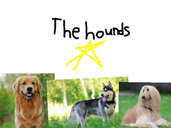 The hounds