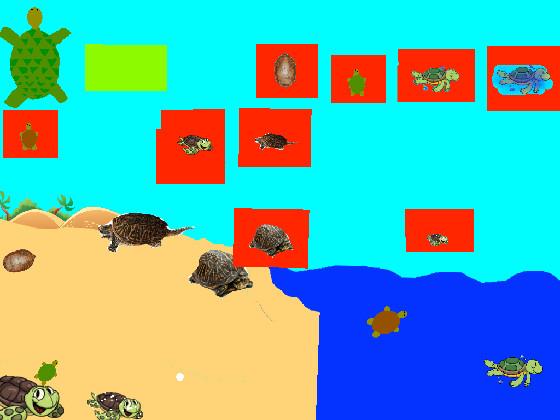 Turtle Clicker!  1