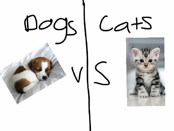 DOG VS CAT