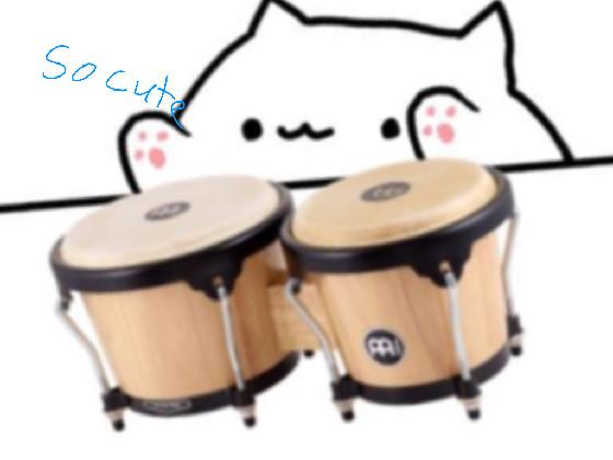so cute musical cats 1 1
