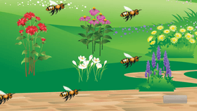 Bee Game