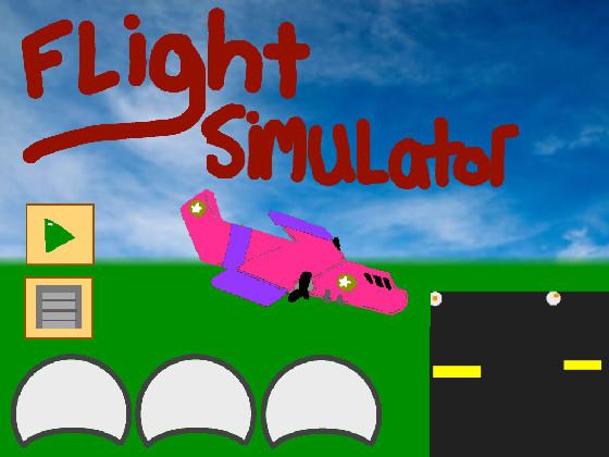 Flight Simulator 1