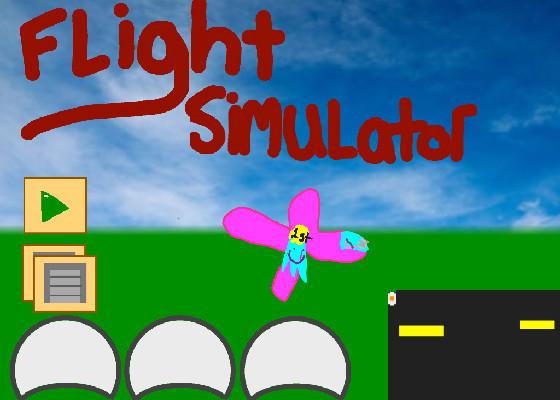 Flight Simulator 2