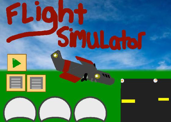 Flight Simulator 1