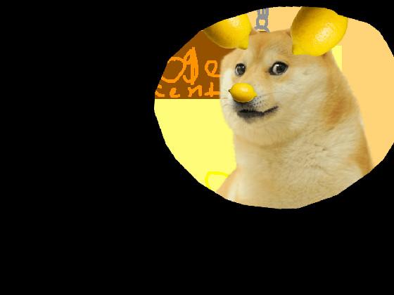 Doge part 1