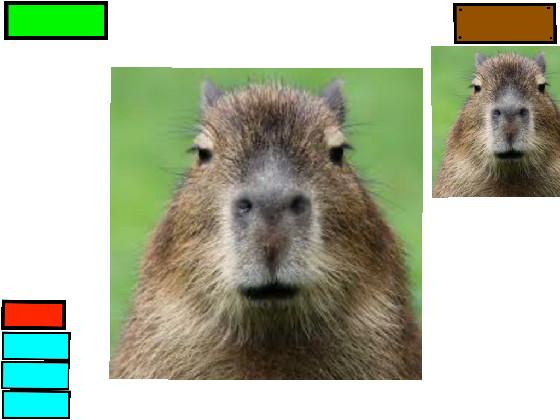 cabybara clicker