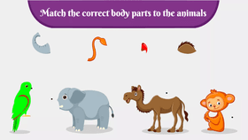 fun fact animal game