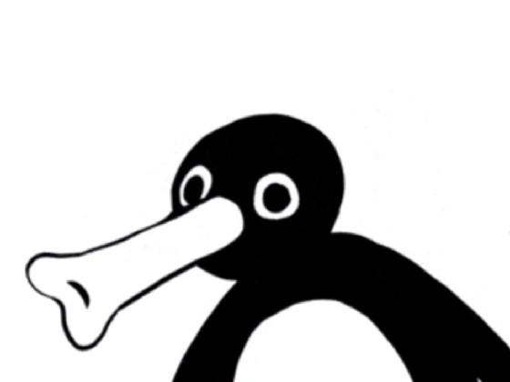 NOOT NOOT!