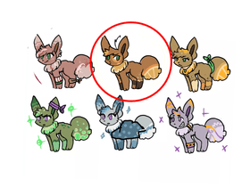 THis is the Eevee I want!