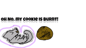 BURNT COOKIE!