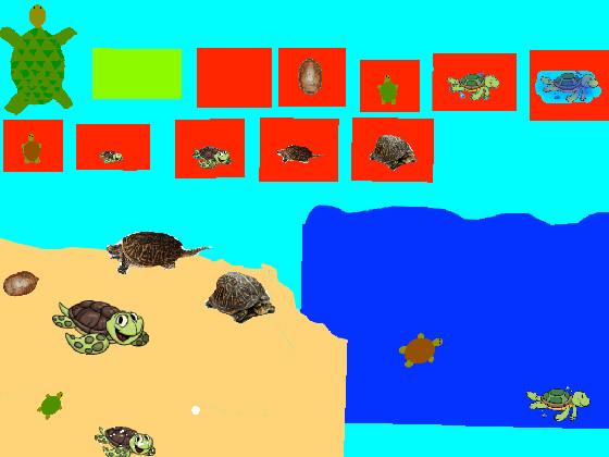 Turtle Clicker!  1