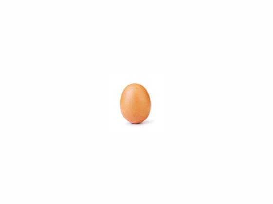 egg