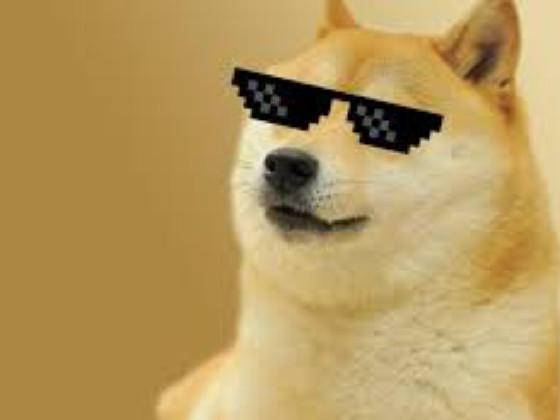 doge coin