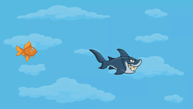 Shark Chase