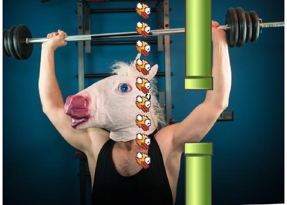 Flappy Bird jacked horse 