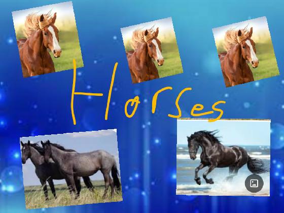 horses