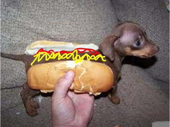 hot dawg